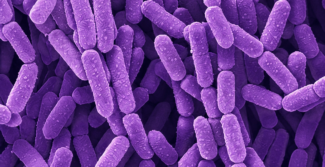 What Do Probiotics Actually Do?